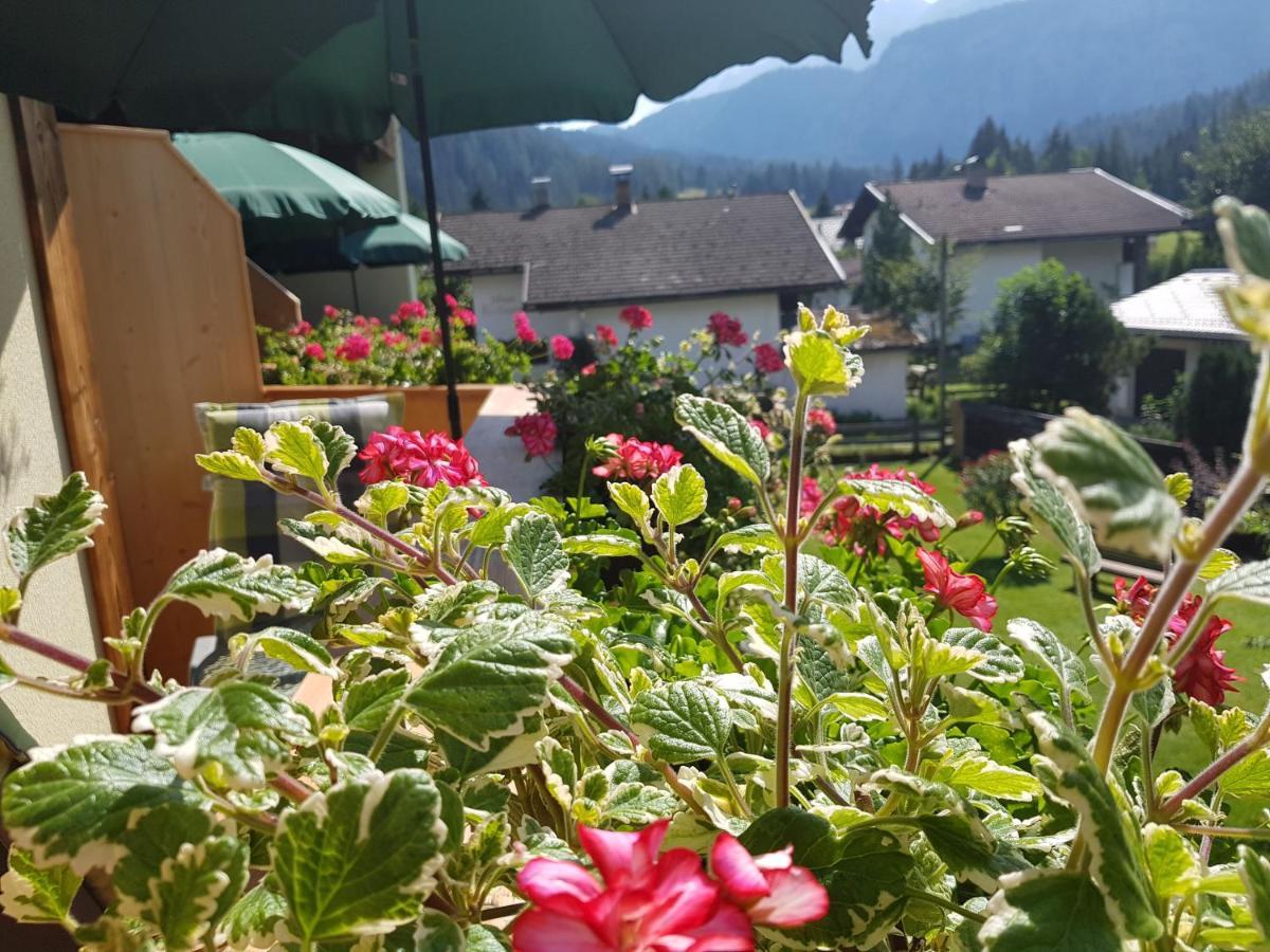 Gaestehaus Schoeneweiss Ehrwald Luaran gambar
